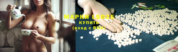 экстази Арсеньев