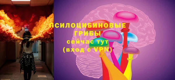 прущие грибы Армянск