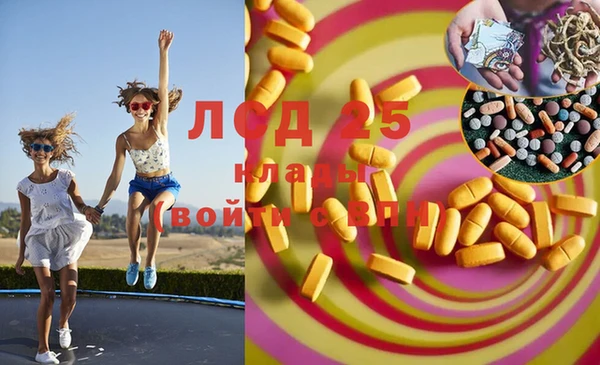 прущие грибы Армянск