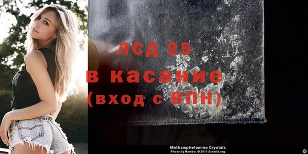 прущие грибы Армянск