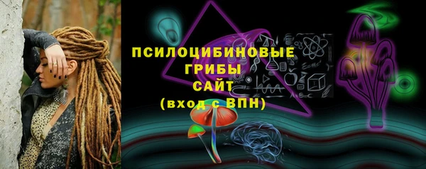 прущие грибы Армянск